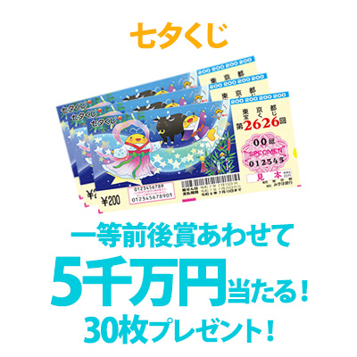 毎日懸賞